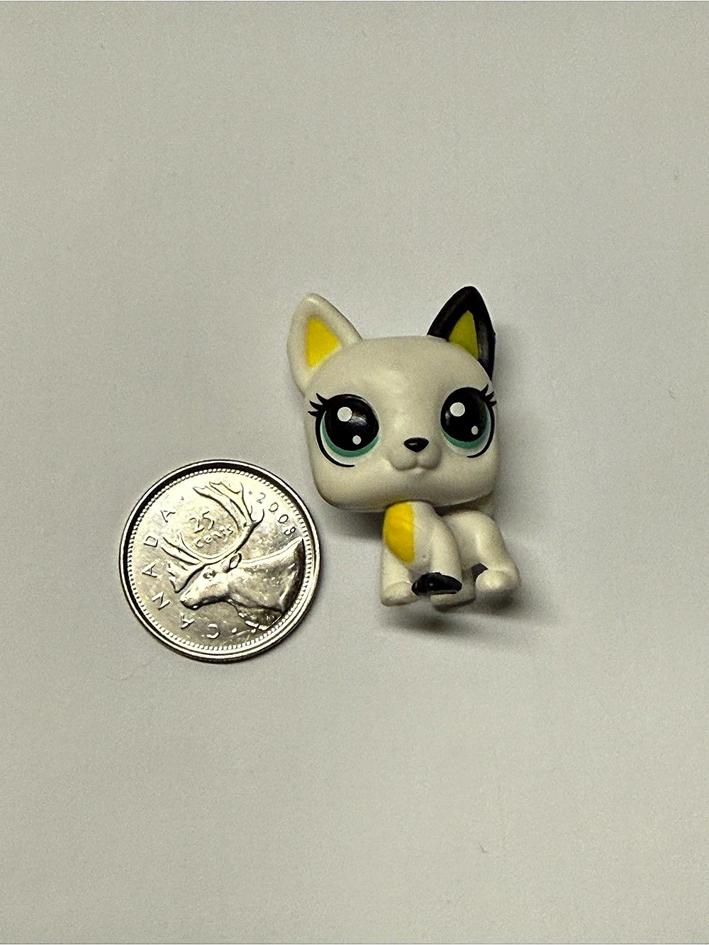 Littlest Pet Shop LPS Special Collections Tube 3 Series 1 Donner Frenchly # 1-17